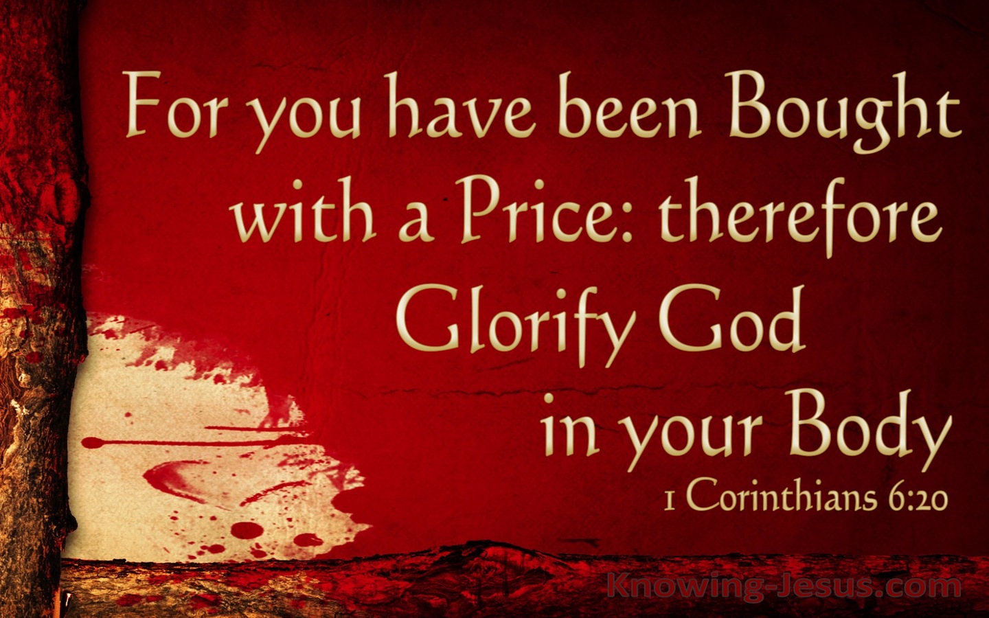 1 Corinthians 6:20 Bought With A Price (red)